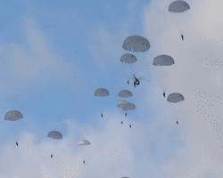 РФ и Беларусь провели совместную высадку десанта в 30 км от Польши: есть потери (фото, видео)