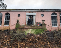 Подружжя купило покинутий будинок, не зазирнувши всередину: що вони знайшли (відео)