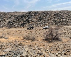 Ночью в пустыне Намибии раздается зловещий смех: ученые нашли того, кто смеется в темноте (видео)