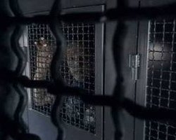 В милиции подтвердили факт задержания активистов возле Межигорья