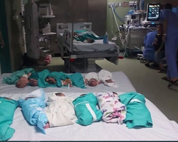 В крупнейшей больнице Газы младенцев греют фольгой из-за нехватки энергии, — Минздрав Палестины