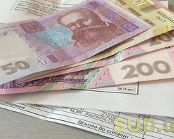 Софинансирование субсидий: что стоит за новой инициативой Кабмина