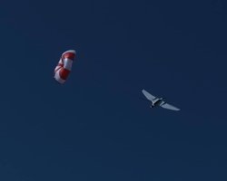 "Громкие звуки": в России обвинили Украину в атаке беспилотников (видео)