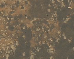 Удар "Искандером" в Черкасском: Forbes сравнил реакцию Украины и РФ на обстрелы полигонов