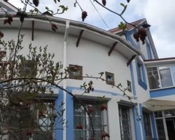 Гроші підуть на ЗСУ: у мережі показали, як виглядає конфіскований маєток путіністки Таїсії Повалій (фото)