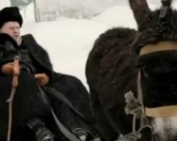 Жириновского обвинили в жестоком обращении с ослом Прохором