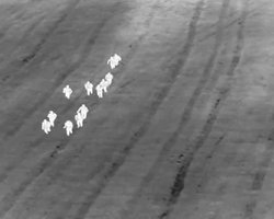 Украинские мужчины пытались массового прорвать границу: 19 человек задержаны (видео)