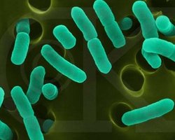 В Германии 2-летний мальчик умер от кишечной инфекции