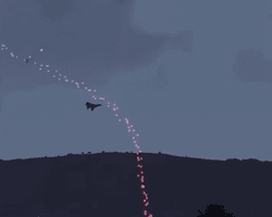 "Історична перемога": пакистанський уряд видав кадри з відеогри за власну відповідь на атаки Індії (відео)