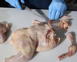 Украинские птицеводы не нашли политики в казахском эмбарго