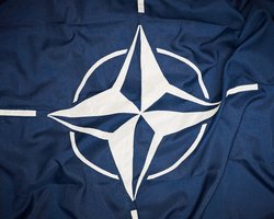 11 стран НАТО выразили протест Венгрии за блокирование диалога с Украиной