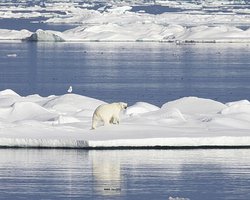 Північний Льодовитий океан прослуховували 10 років: почуте стривожило вчених