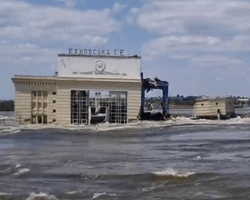 95 тонн рыбы и тела дельфинов: в Турции и Болгарии столкнулись с последствиями подрыва ГЭС