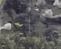 Разведали дроном и засыпали гранатами: пограничники уничтожили позиции ВС РФ (видео)