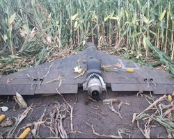 ЗСУ збили реактивний "Шахед": "Флеш" вказав на важливі відмінності БпЛА "Герань-3" (фото)