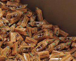 Онищенко призвал Украину ускорить решение вопроса с Roshen