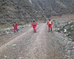 Для нового разминирования территорий в Нагорном Карабахе потребуется 13 лет