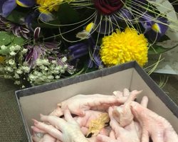 Маньяк или жертва? Все, что известно о секс-скандале вокруг высокопоставленного полицейского