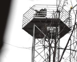 Бізнес проти "Шахедів": як в Україні з'явилась приватна ППО та які нюанси існують