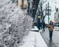 Мало снега и теплая погода: синоптики предсказали, какой будет зима в Украине