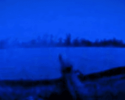 Спецназовцы на лодках провели операцию на оккупированной части Херсонщины, — "Стугна" (видео)