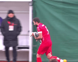 Воротар збив чайку м'ячем під час футбольного матчу: капітан команди реанімував птаха (відео)