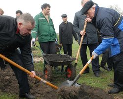Предприниматели подарят Азарову ко Дню рождения лопату