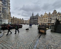 Бельгия открыла границы для украинских путешественников: что нужно для въезда