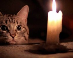 Отключения света в Украине: будут ли действовать 19 декабря графики