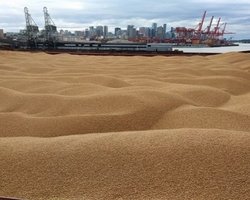 Образовали "пробку" из 150 суден: Зеленский обвинил РФ в срыве "зернового соглашения" (видео)