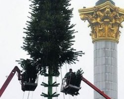 На Майдане начали устанавливать главную елку Украины
