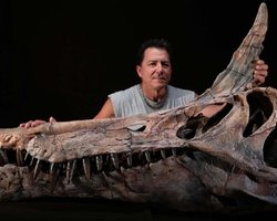 Нічого подібного не бачили раніше: у Сахарі знайдено дивовижного динозавра (фото)