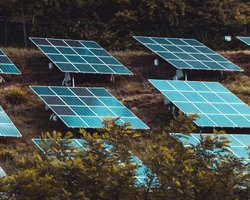 Не только пережить отключения: можно ли заработать с помощью солнечных станций в Украине