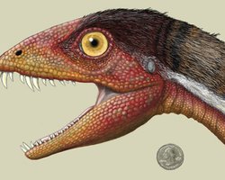 Американцы нашли демонозавра размером с собаку