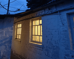 "Сарай за 2 млн гривен": женщина купила дом возле села, но что-то пошло не так (фото)