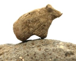 Артефакты докерамического неолита: раскопки в Турции принесли новые находки (фото)