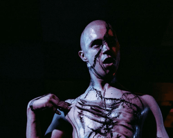 Звезда "Евровидения" служит в Воздушных Силах ВСУ (фото, видео)