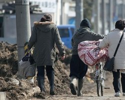 Экономика Японии может потерять до 180 млрд.долл из-за стихии