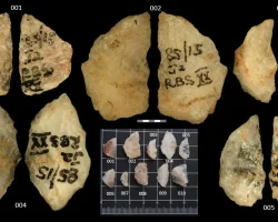 Достигли мастерства в охоте еще 60 000 лет назад: древние стрелы раскрыли секрет