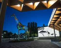 Новые вольеры и туалеты: столичный зоопарк откроют для посетителей 23 мая