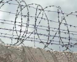 Боевики "ЛНР" приговорили к 12 годам тюрьмы местную жительницу за "госизмену"