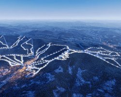 Депутати Львівської облради передадуть майже 176 га лісу для будівництва найбільшого курорту