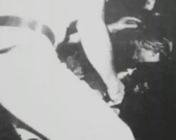 В Каннах представят фильм-расследование гибели принцессы Дианы