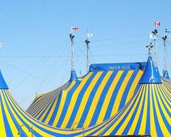 Правительство Гаити разместится в цирке