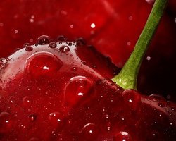 В Киеве обнаружилась черешня по 140 грн