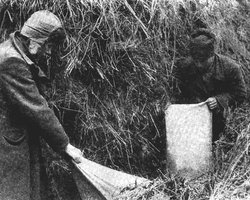 Як готували Голодомор: кампанія із розкуркулення українського села