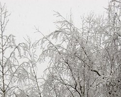 В Харькове и Кременчуге из-за морозов отменили занятия в школах
