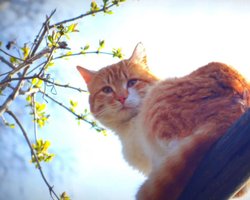 На вихідні до +19, а потім різке похолодання: прогноз погоди в Україні від Діденко