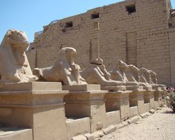 В Египте турфирмы отказываются от посещения городов Луксор и Асуан