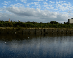 Пустував десятки років: у центрі британського міста знайшли "забутий острів" (фото)